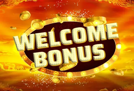 888 Neukundenbonus